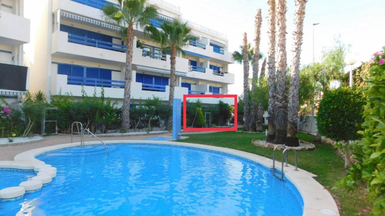 Coral House - La Calma - Playa Flamenca - Big Terrace & 4 Swimming Pools. 아파트 외부 사진