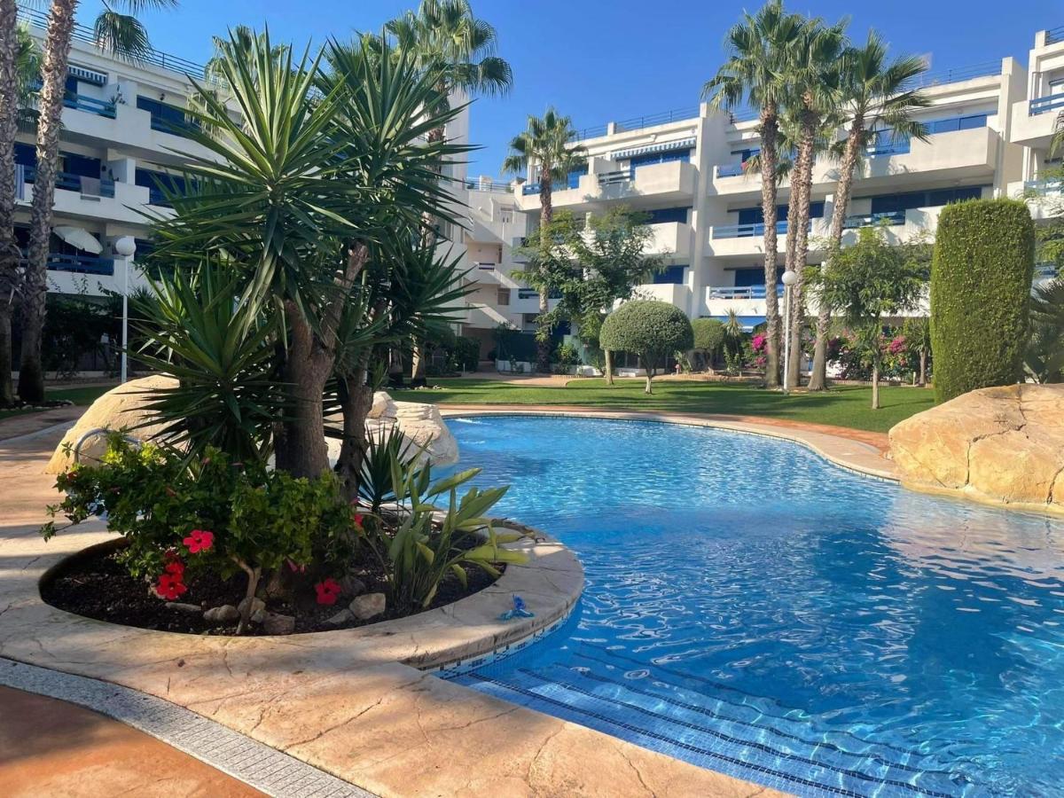 Coral House - La Calma - Playa Flamenca - Big Terrace & 4 Swimming Pools. 아파트 외부 사진